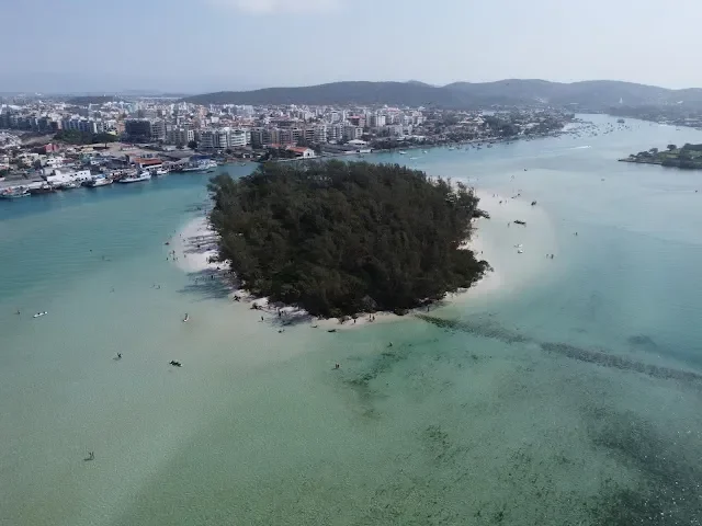Ilha do Japonês