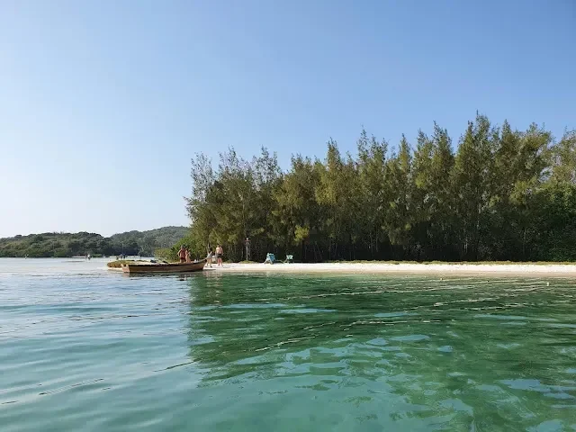 Ilha do Japonês